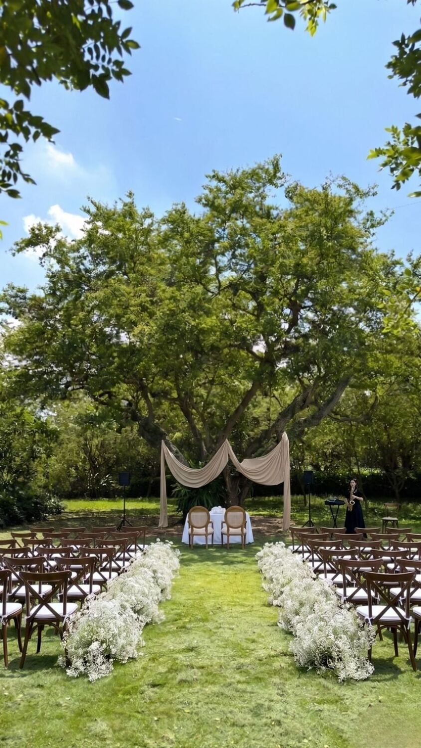 Altar de matrimonio bajo el árbol principal, con telas beige colgadas de las ramas, mesa de firmas y una saxofonista tocando en vivo.