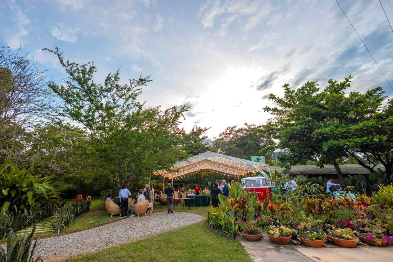 Celebración al atardecer bajo una carpa transparente con luces colgantes, rodeada de árboles, senderos de gravilla y las materas floridas del vivero.