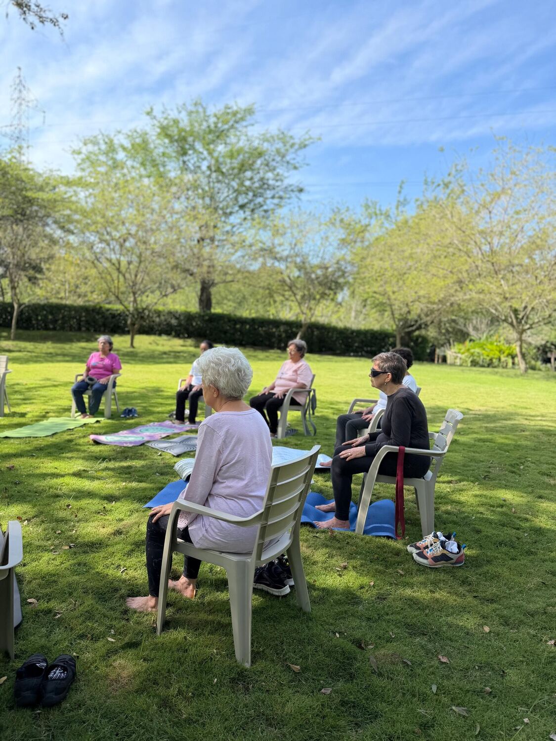 Sesión de yoga en silla para personas mayores sobre el césped: seis participantes sentadas y descalzas, con colchonetas extendidas y un seto de árboles al fondo.