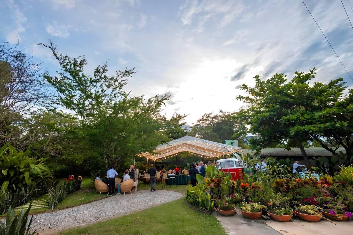 Coctel al atardecer: invitados de pie bajo una carpa con luces y una furgoneta-bar clásica, al final de un camino de gravilla bordeado por materas con flores.