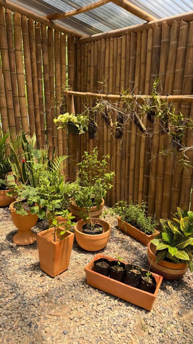Cerramiento de cañas de guadua del predio, con orquídeas colgadas de una vara y materas de barro sobre la gravilla