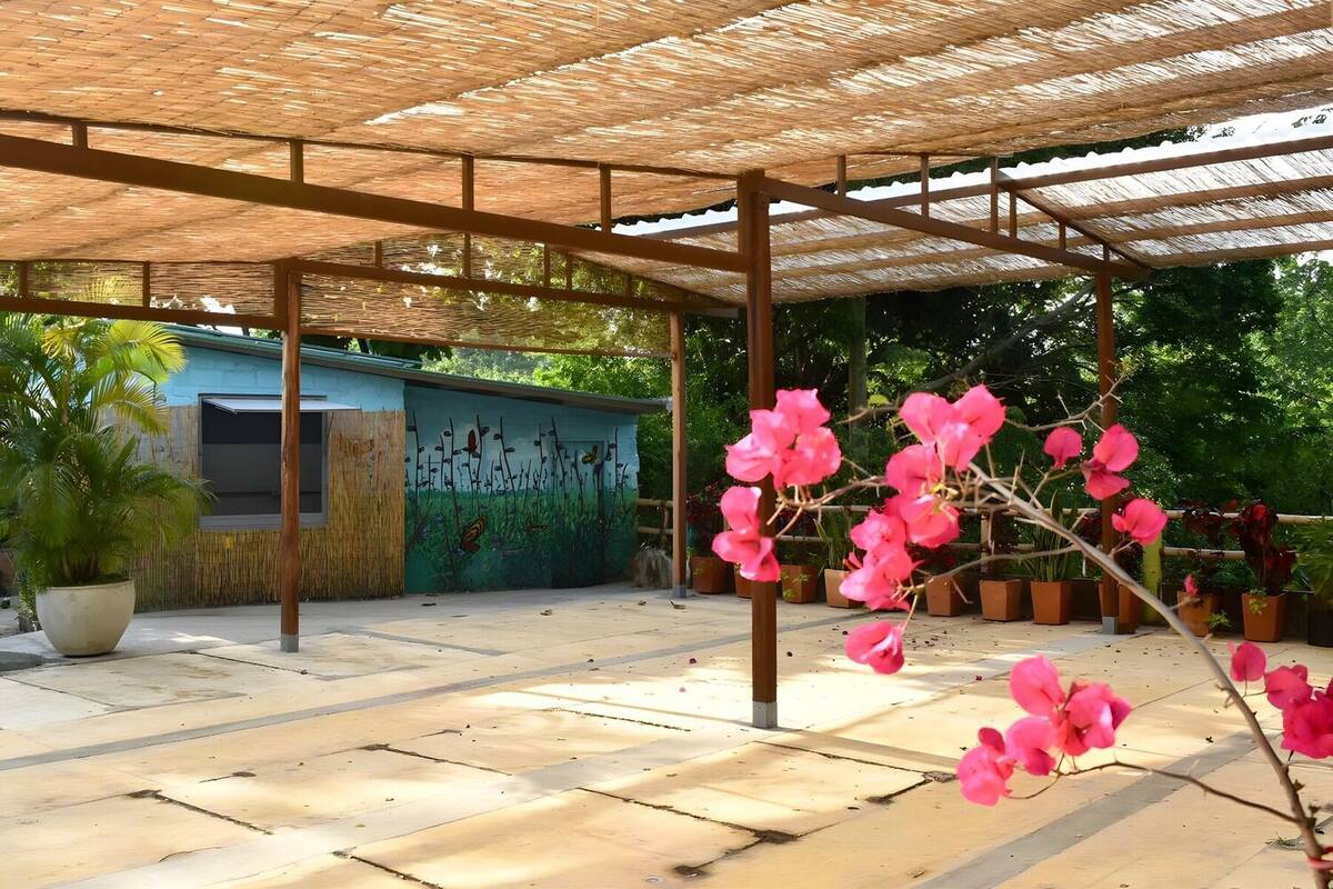 Terraza de piso en placas de concreto cubierta por un techo de caña sobre columnas de madera, con materas alineadas, una rama de buganvilla rosada en primer plano y un mural de flores y mariposas al fondo.